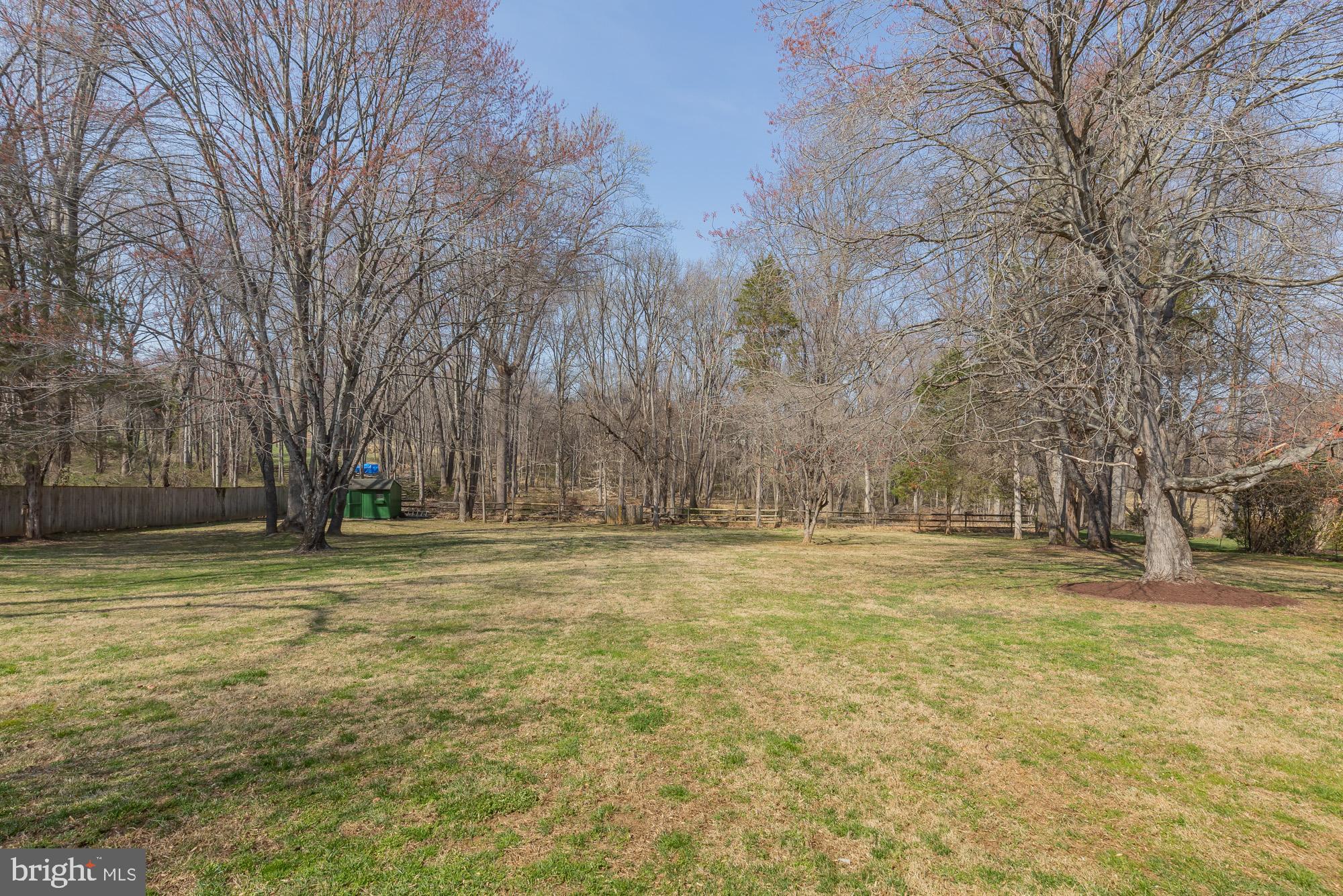 16217 Whitehaven Road Silver Spring, MD 20906 - Photo 49 of 50 a view of a yard with trees