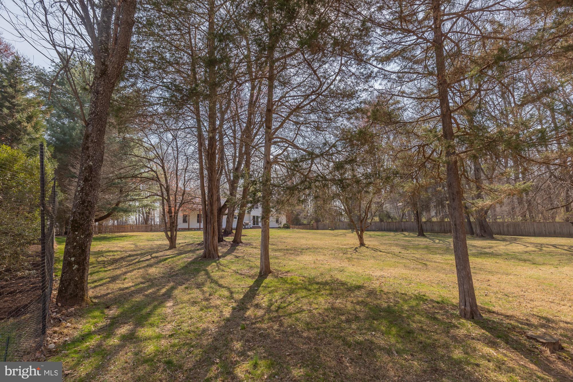 16217 Whitehaven Road Silver Spring, MD 20906 - Photo 50 of 50 a view of empty yard with large trees