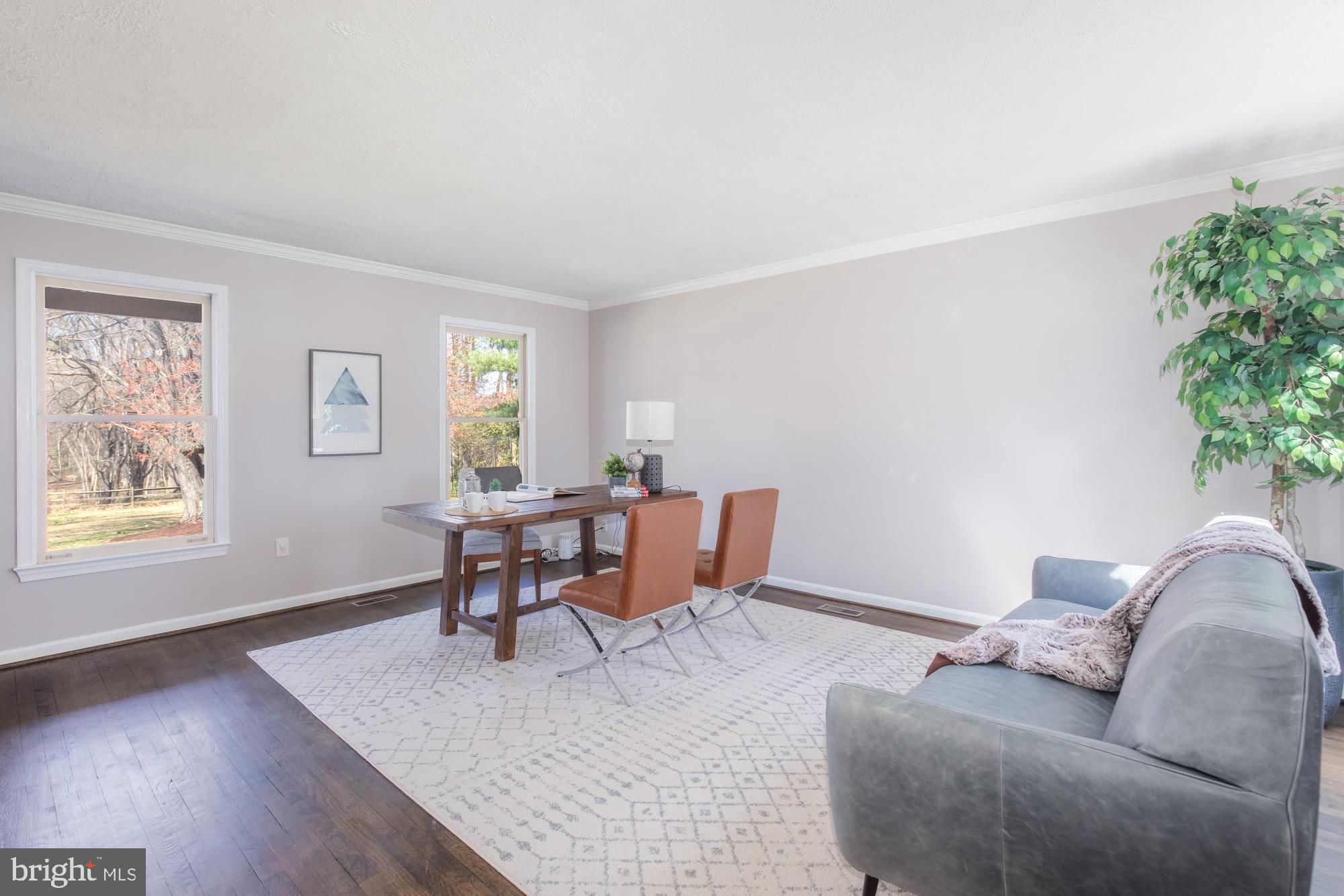 16217 Whitehaven Road Silver Spring, MD 20906 - Photo 6 of 50 a living room with furniture and a potted plant