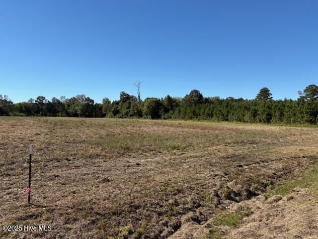 3 County Home Road Winterville, NC 28590 - Photo 2 of 2 .85 Acres 175' Frontage