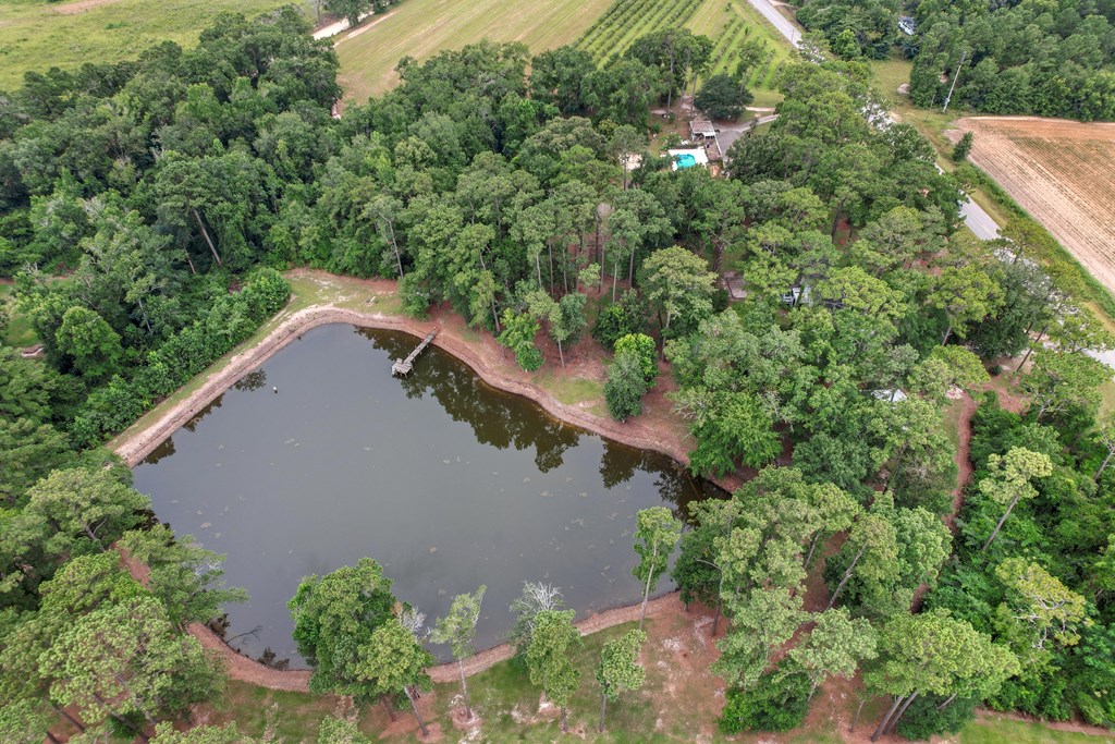 6850 North Co Road Columbia, AL 36319 - Photo 64 of 81