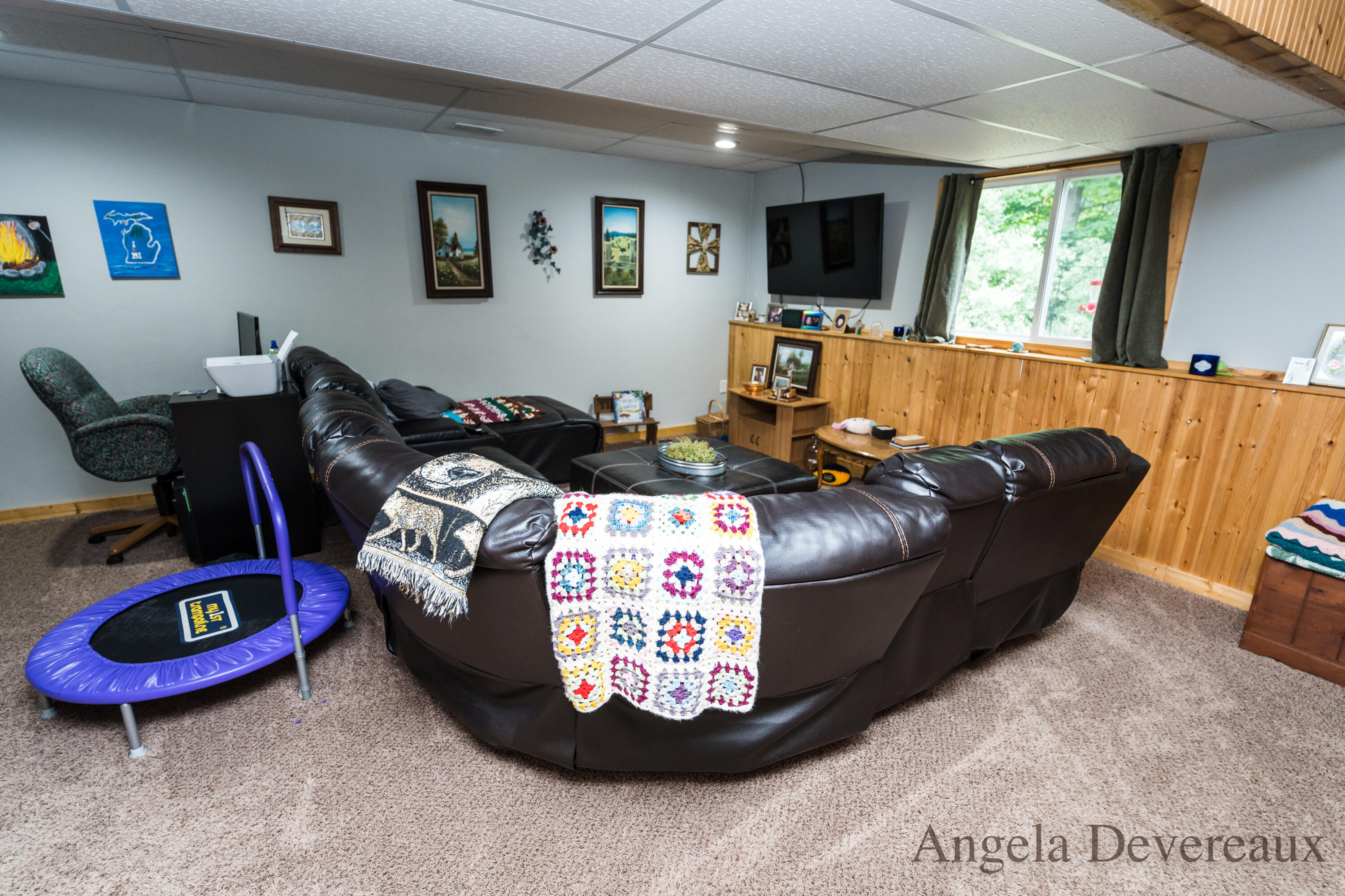 3751 Johnson Road Gowen, MI 49326 - Photo 38 of 50 DSC02331