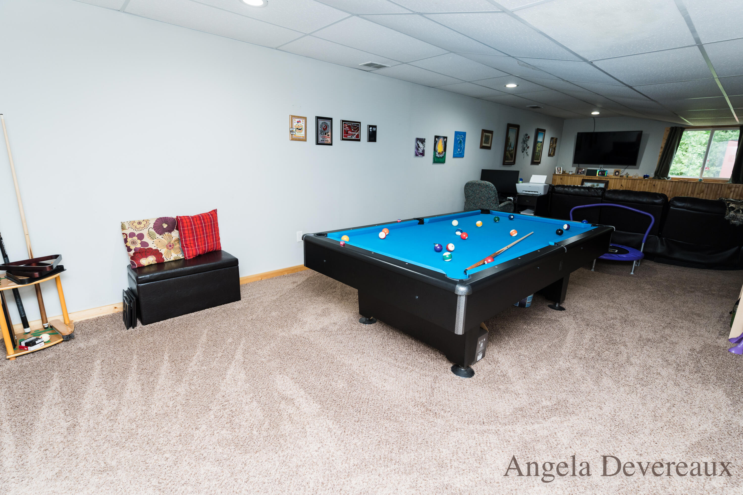 3751 Johnson Road Gowen, MI 49326 - Photo 42 of 50 DSC02323