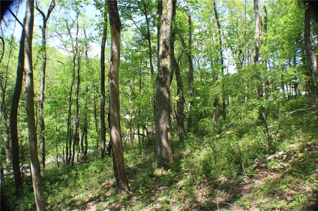 Lot Wexford Bayne Road Wexford, PA 15090 - Photo 11 of 24 a view of forest