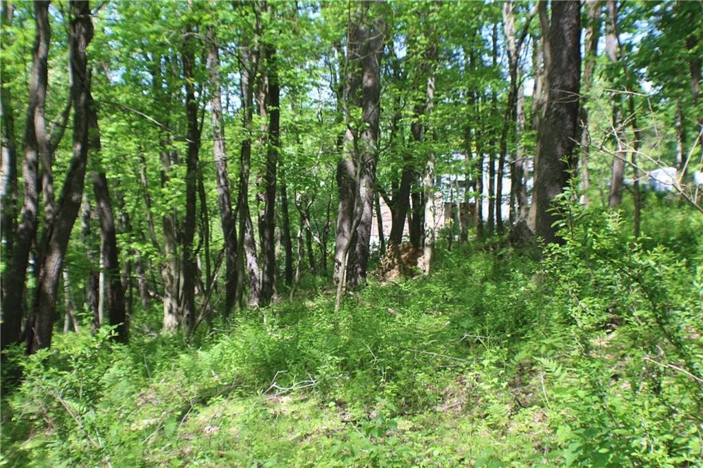 Lot Wexford Bayne Road Wexford, PA 15090 - Photo 12 of 24 a backyard of a house with lots of green space