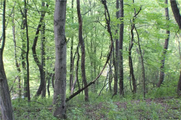 a view of outdoor space and green space