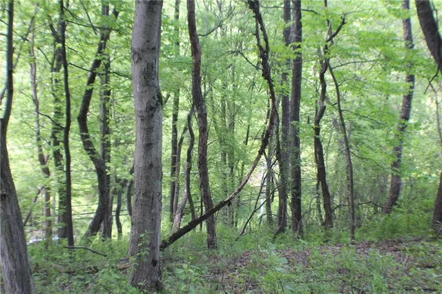 a view of outdoor space and green space