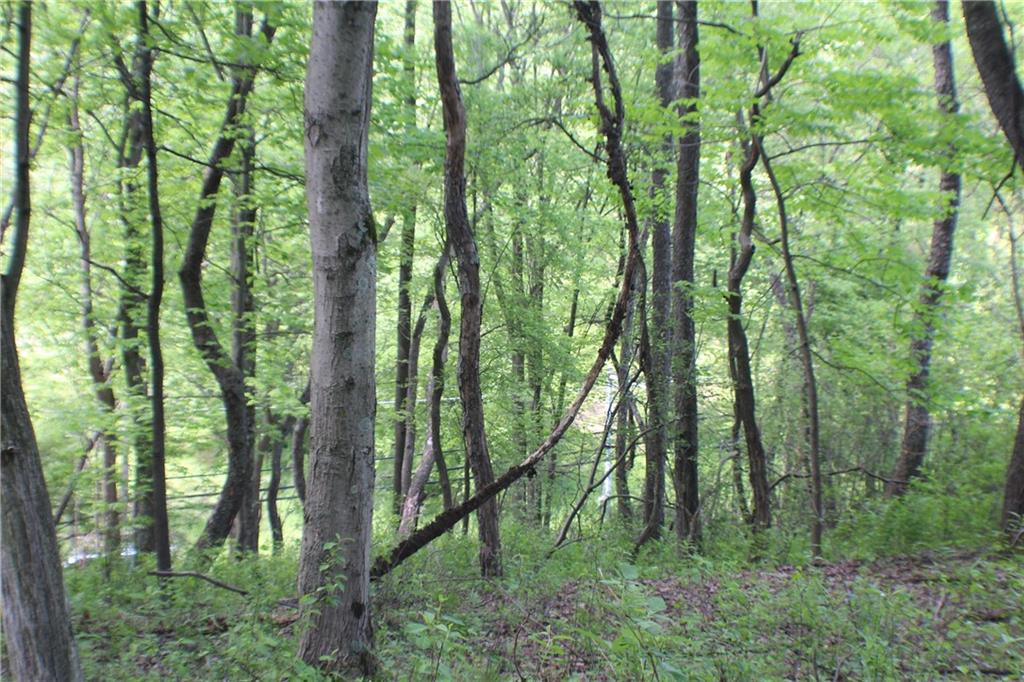 Lot Wexford Bayne Road Wexford, PA 15090 - Photo 13 of 24 a view of outdoor space and green space