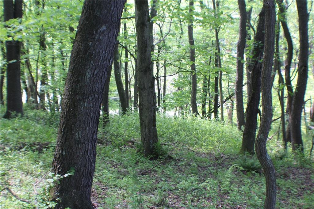 Lot Wexford Bayne Road Wexford, PA 15090 - Photo 14 of 24 a view of lush green forest