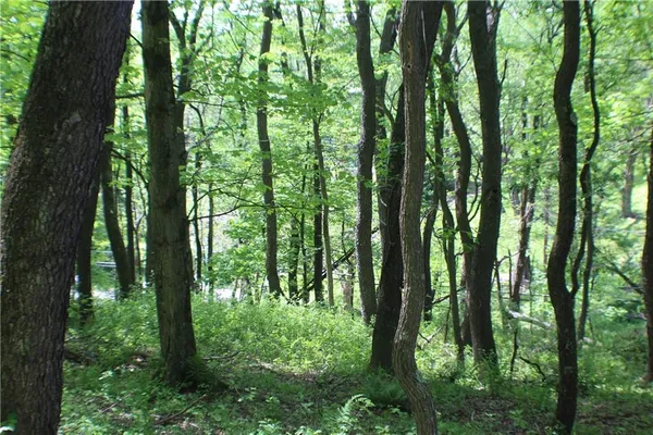 a view of outdoor space and green space