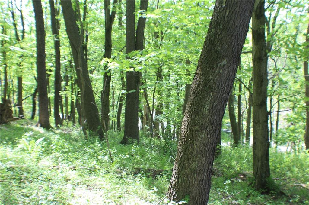 Lot Wexford Bayne Road Wexford, PA 15090 - Photo 16 of 24 a plant in a garden