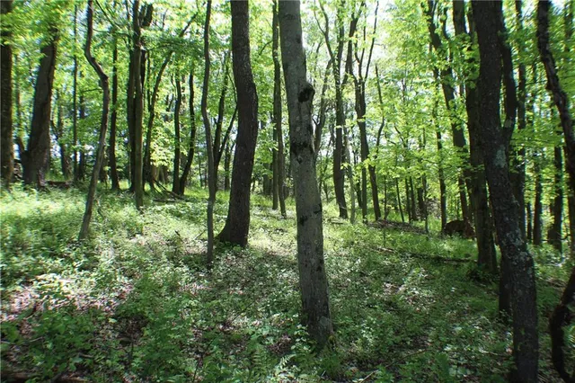 a view of outdoor space and green space