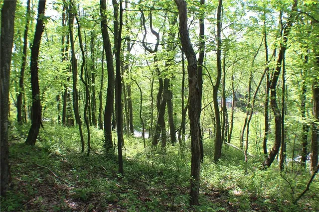 a view of outdoor space and green trees