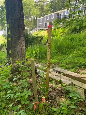 a view of a garden