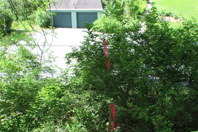 a view of a wooden house with a tree