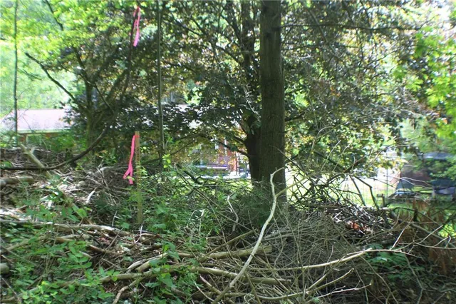 a backyard of a house with lots of green space