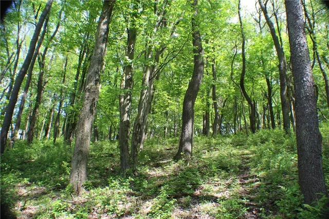 a view of outdoor space and green space