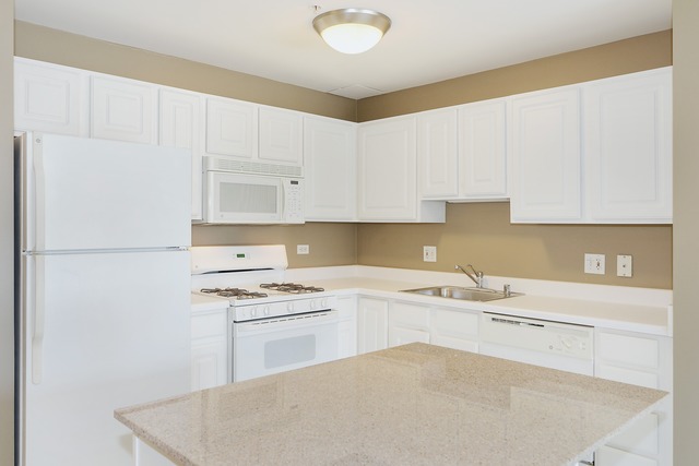 545 North Dearborn Street, Unit 3108 Chicago, IL 60654 - Photo 5 of 18