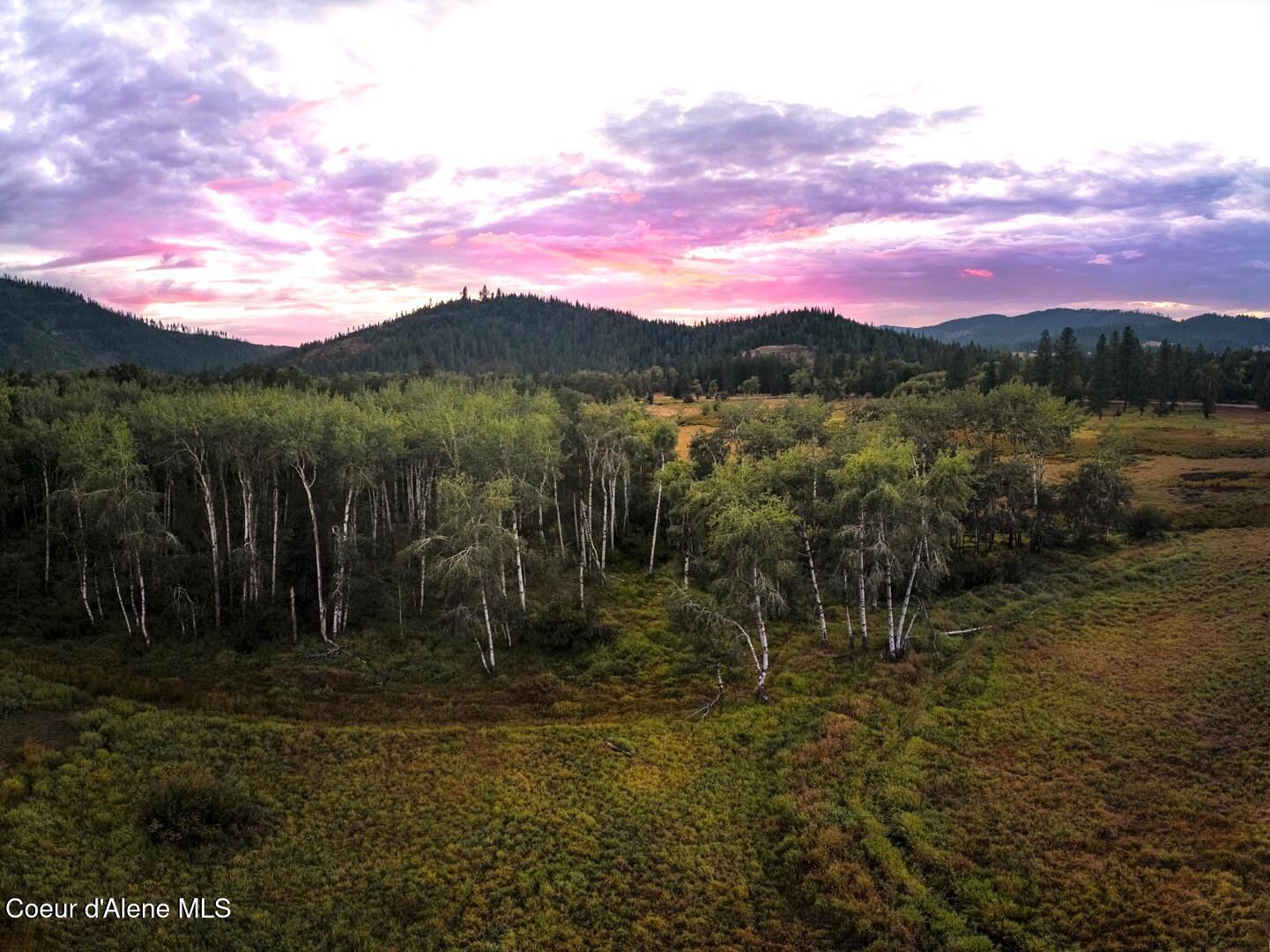 Nna East Dudley Road Cataldo, ID 83810 - Photo 3 of 15 NNE E Dudley Rd, Cataldo, ID 83810