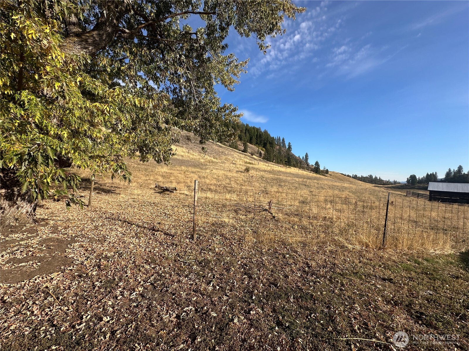 640 Highland Loop Road Kettle Falls, WA 99141 - Photo 21 of 38 Gallery Image 21