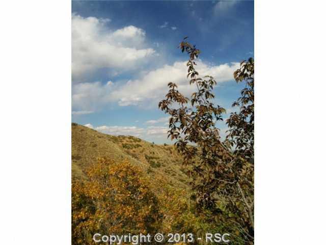 850 Oak Ridge Road Manitou Springs, CO 80829 - Photo 17 of 17 Summer view - really beautiful!