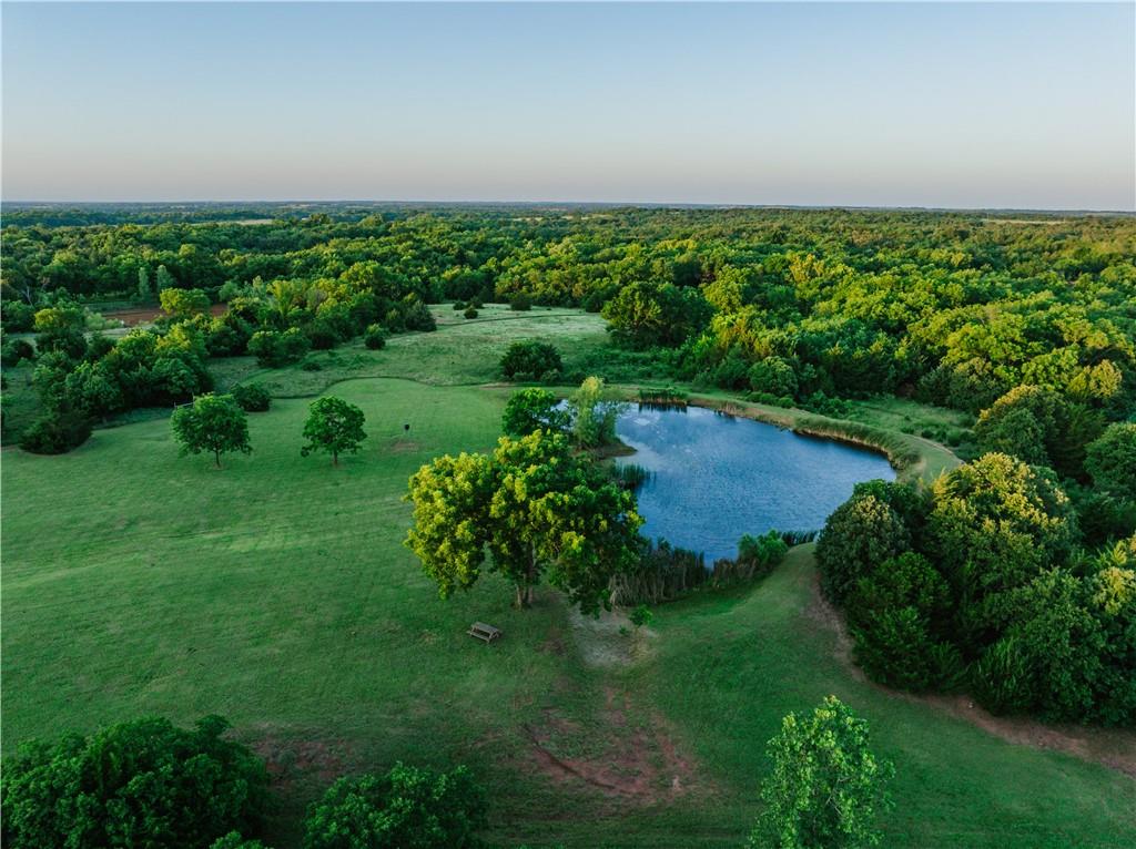 42629 South 34200 Road Pawnee, OK 74058 - Photo 74 of 99
