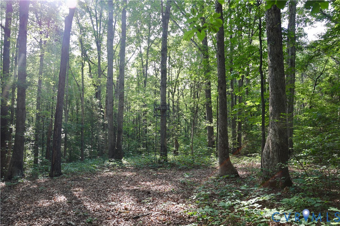 1192 West Store Road Halifax, VA 24558 - Photo 71 of 73