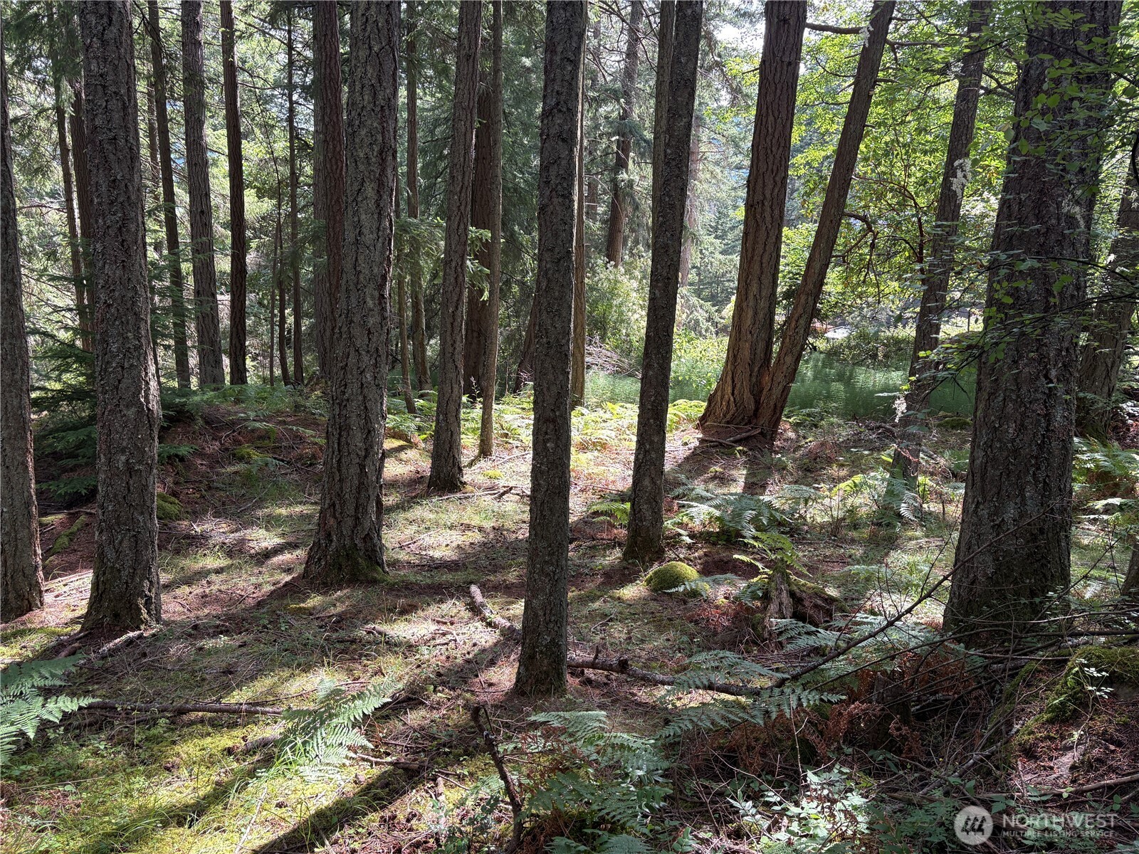14 Rosario Road Orcas Island, WA 98245 - Photo 25 of 39