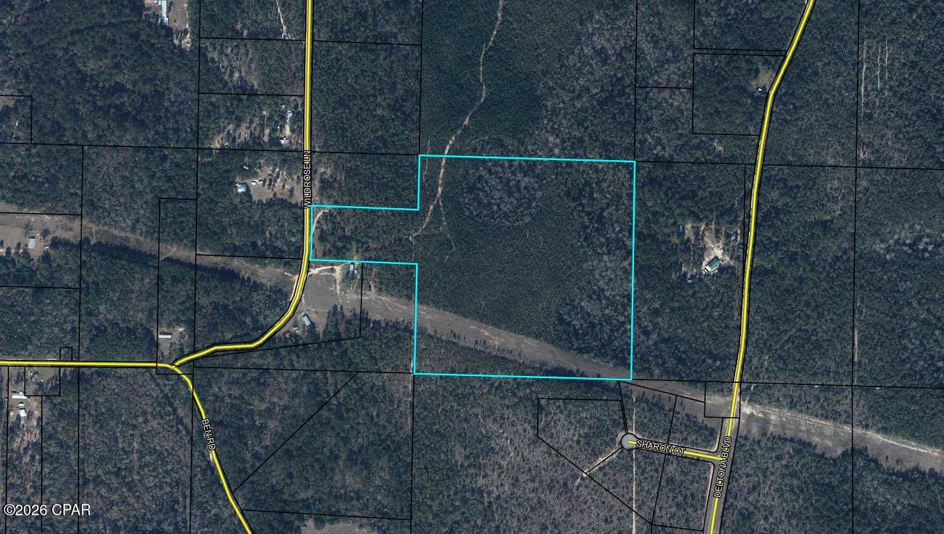 Tbd Wild Rose Lane Chipley, FL 32428 - Photo 1 of 2