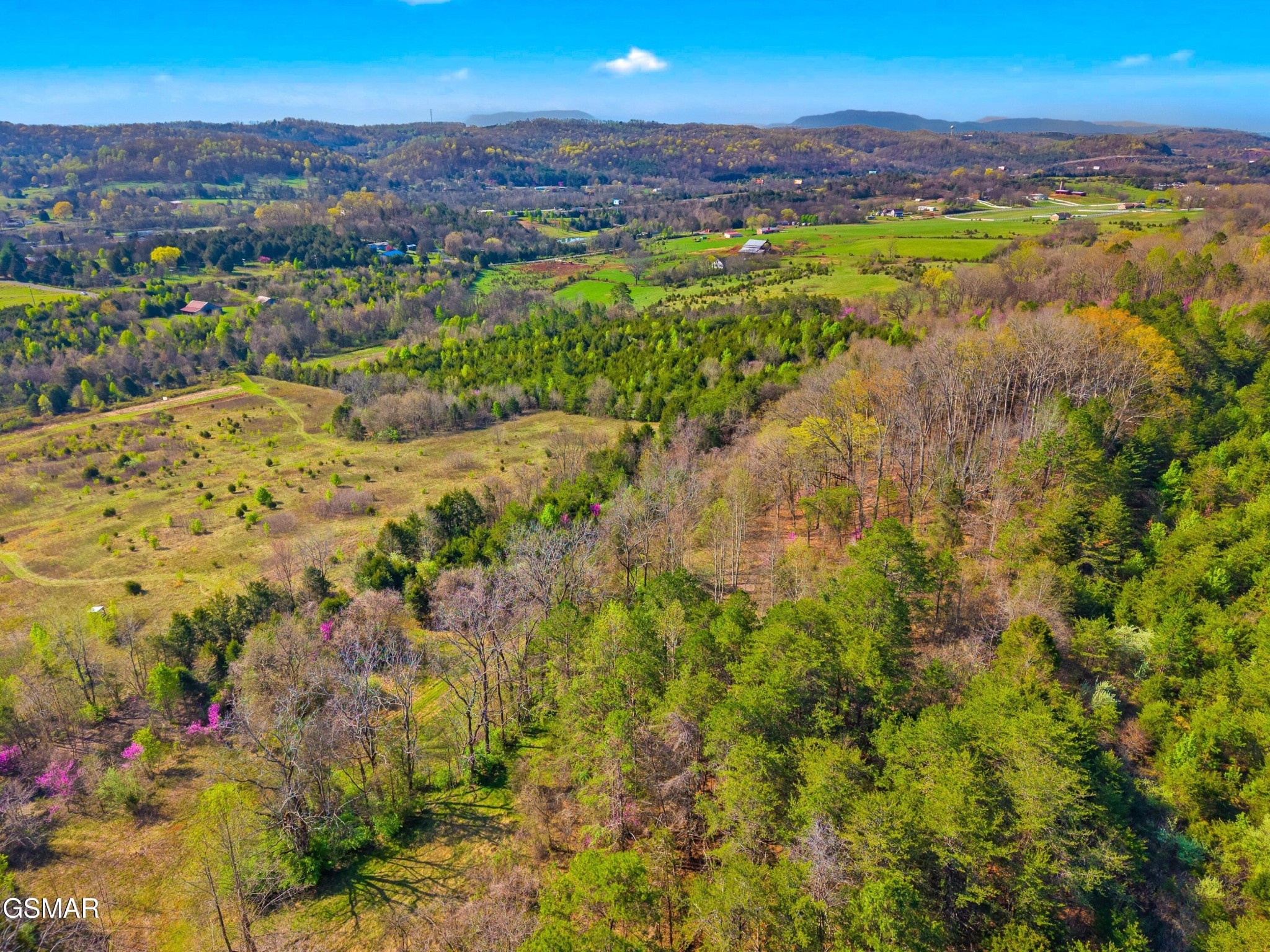 1 West Dumplin Valley Road New Market, TN 37820 - Photo 8 of 18 Gallery Image 8
