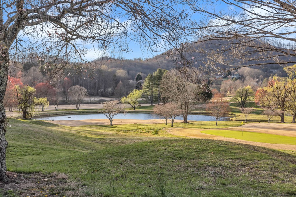 352 Licklog Ridge Hayesville, NC 28904 - Photo 39 of 41