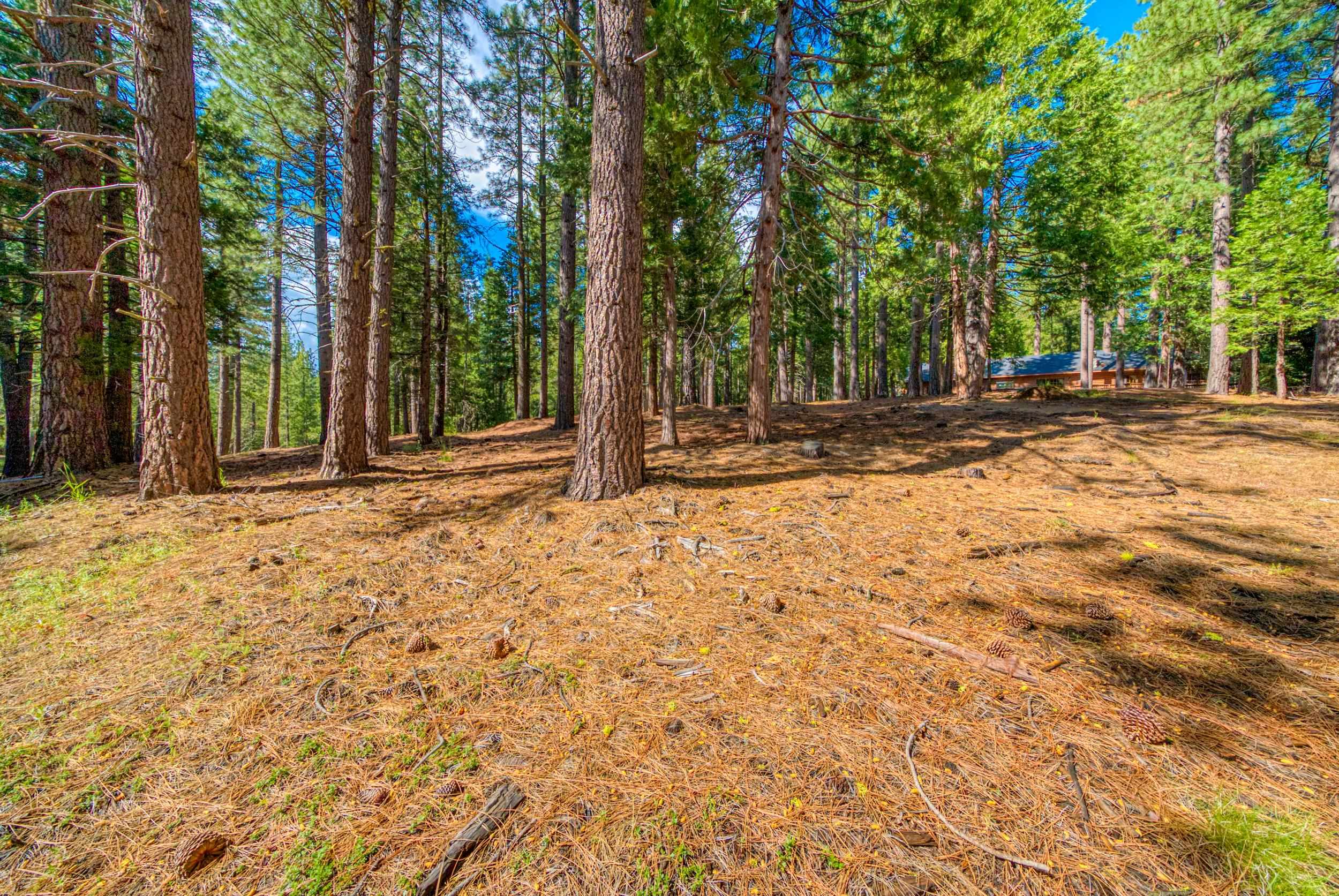 954 Red Fox Road Clio, CA 96106 - Photo 13 of 22