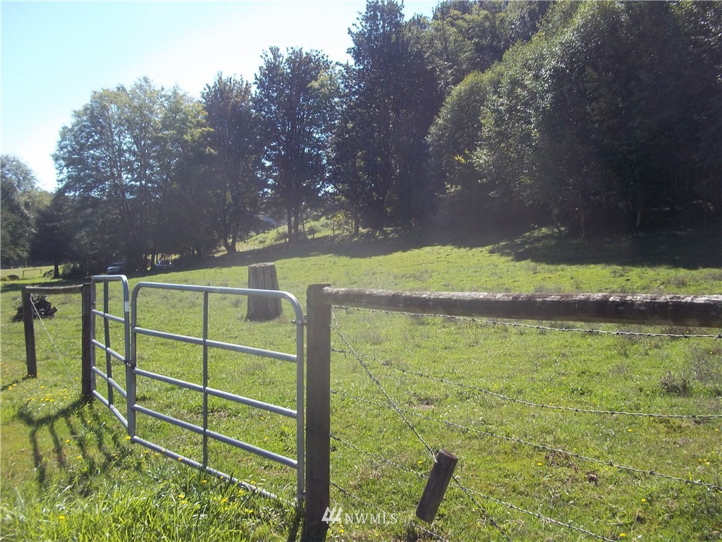 Lot#1 Naylor Road Mossyrock, WA 98564 - Photo 2 of 6 Gallery Image 2