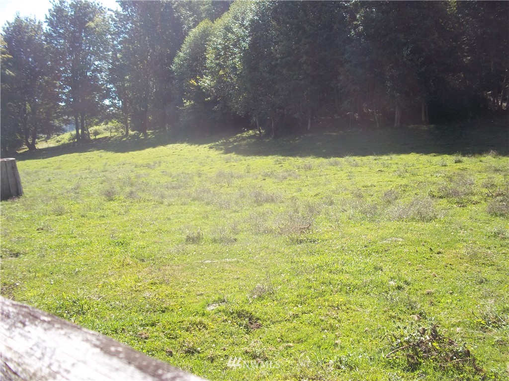 Lot#1 Naylor Road Mossyrock, WA 98564 - Photo 3 of 6 Gallery Image 3