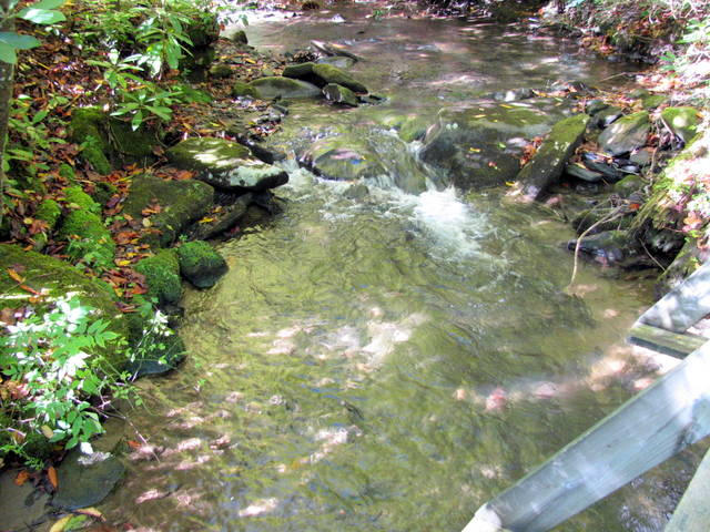 1265 Tipton Creek Road Murphy, NC 28906 - Photo 16 of 17 16-08-IMG_0472