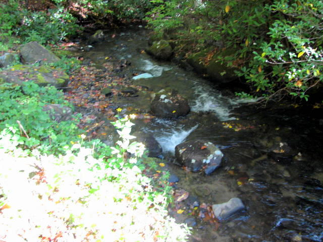 1265 Tipton Creek Road Murphy, NC 28906 - Photo 17 of 17 17-09-IMG_0473