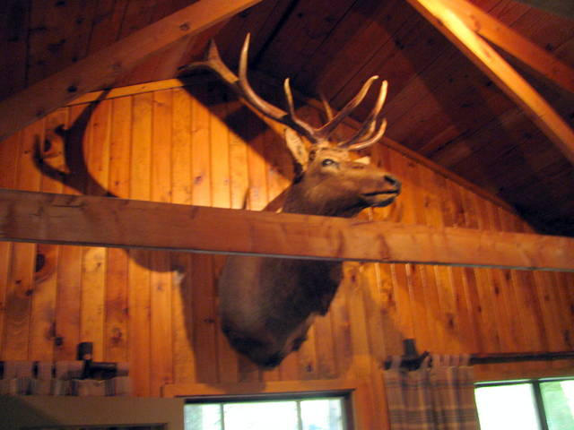 1265 Tipton Creek Road Murphy, NC 28906 - Photo 10 of 17 10-04-IMG_0464