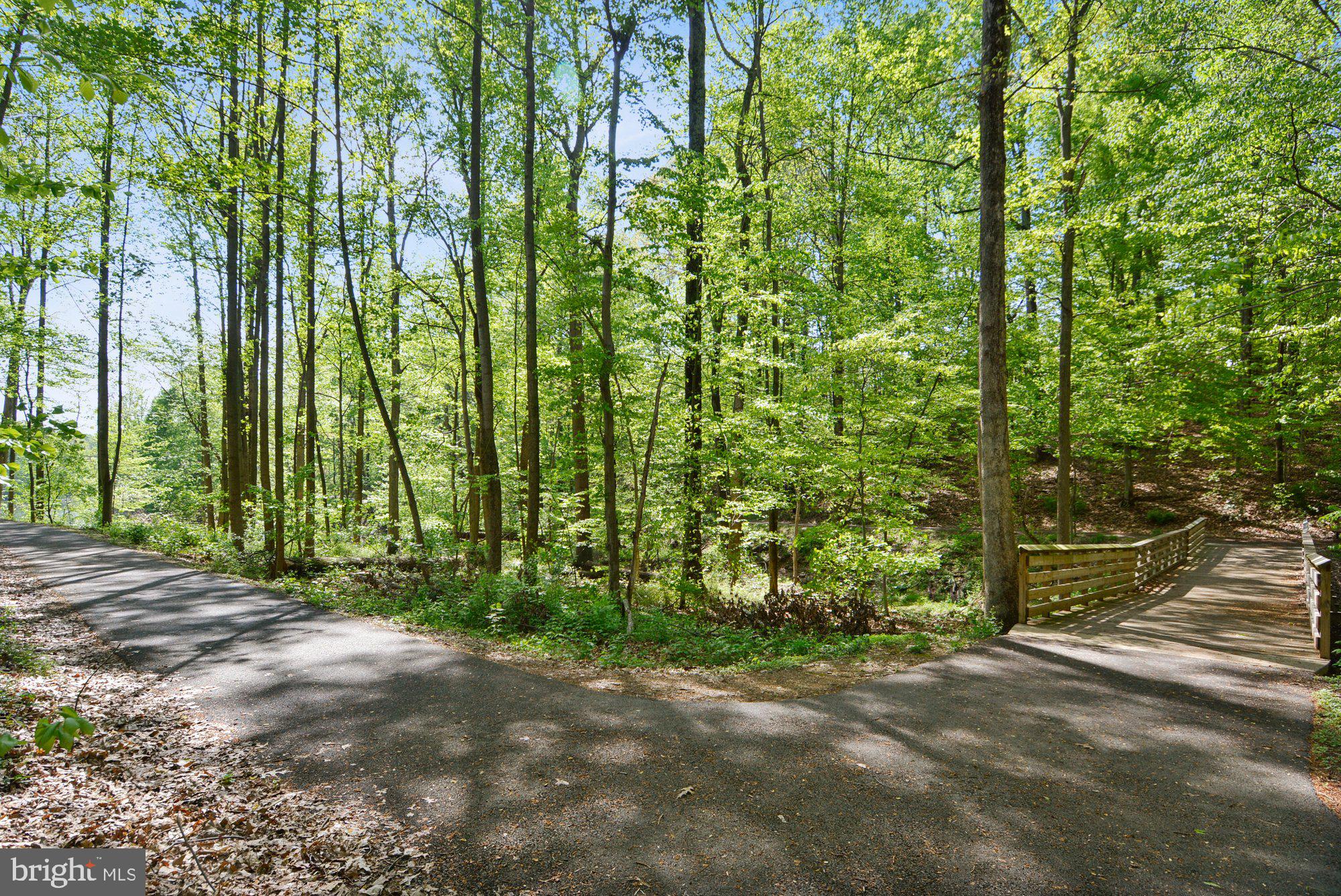 12824 Clarksburg Square Road, Unit 102 Clarksburg, MD 20871 - Photo 56 of 75 a view of backyard with large trees