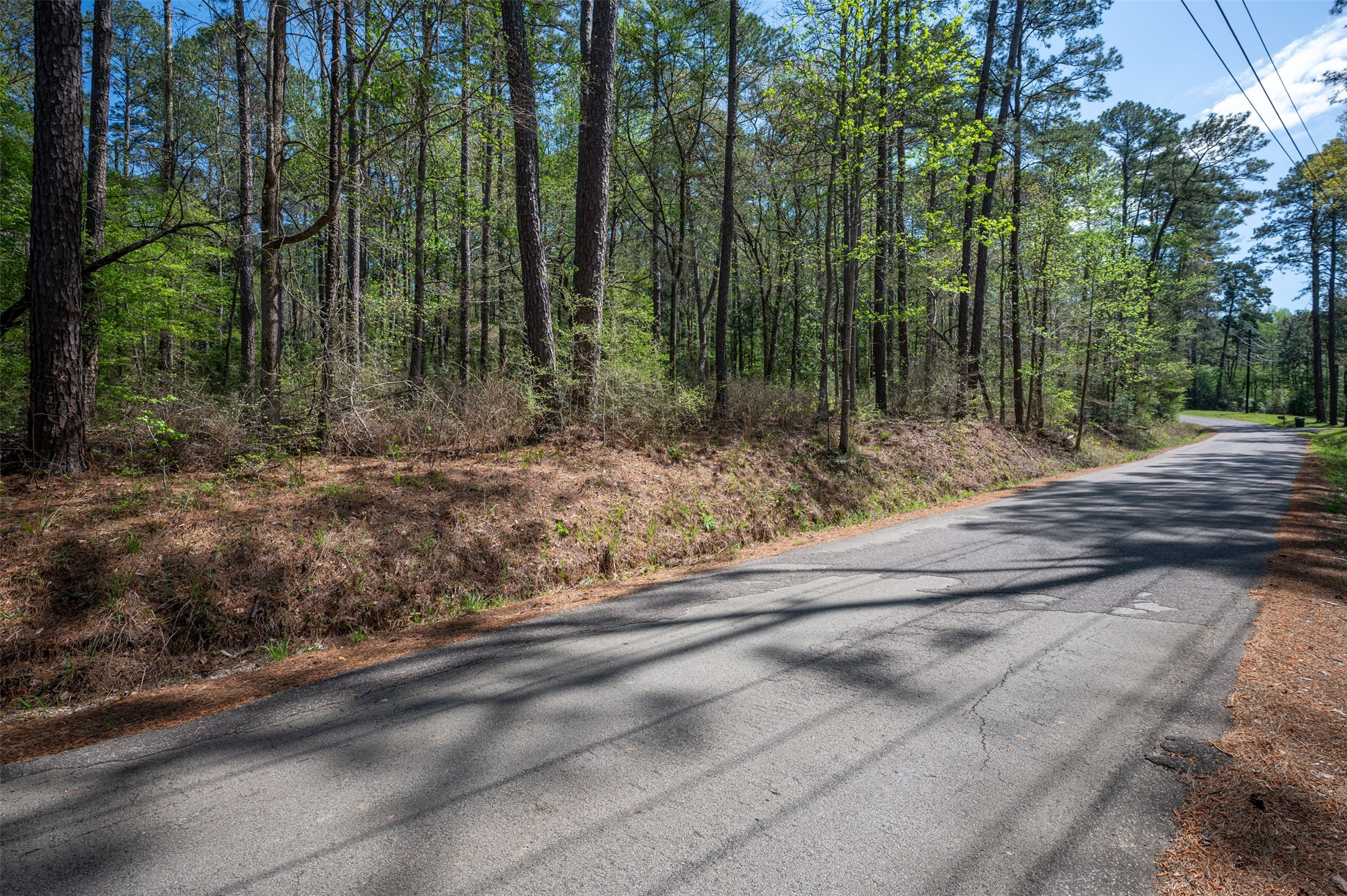 138 County Road 138 Jasper, TX 75951 - Photo 14 of 17 a view of backyard with green space