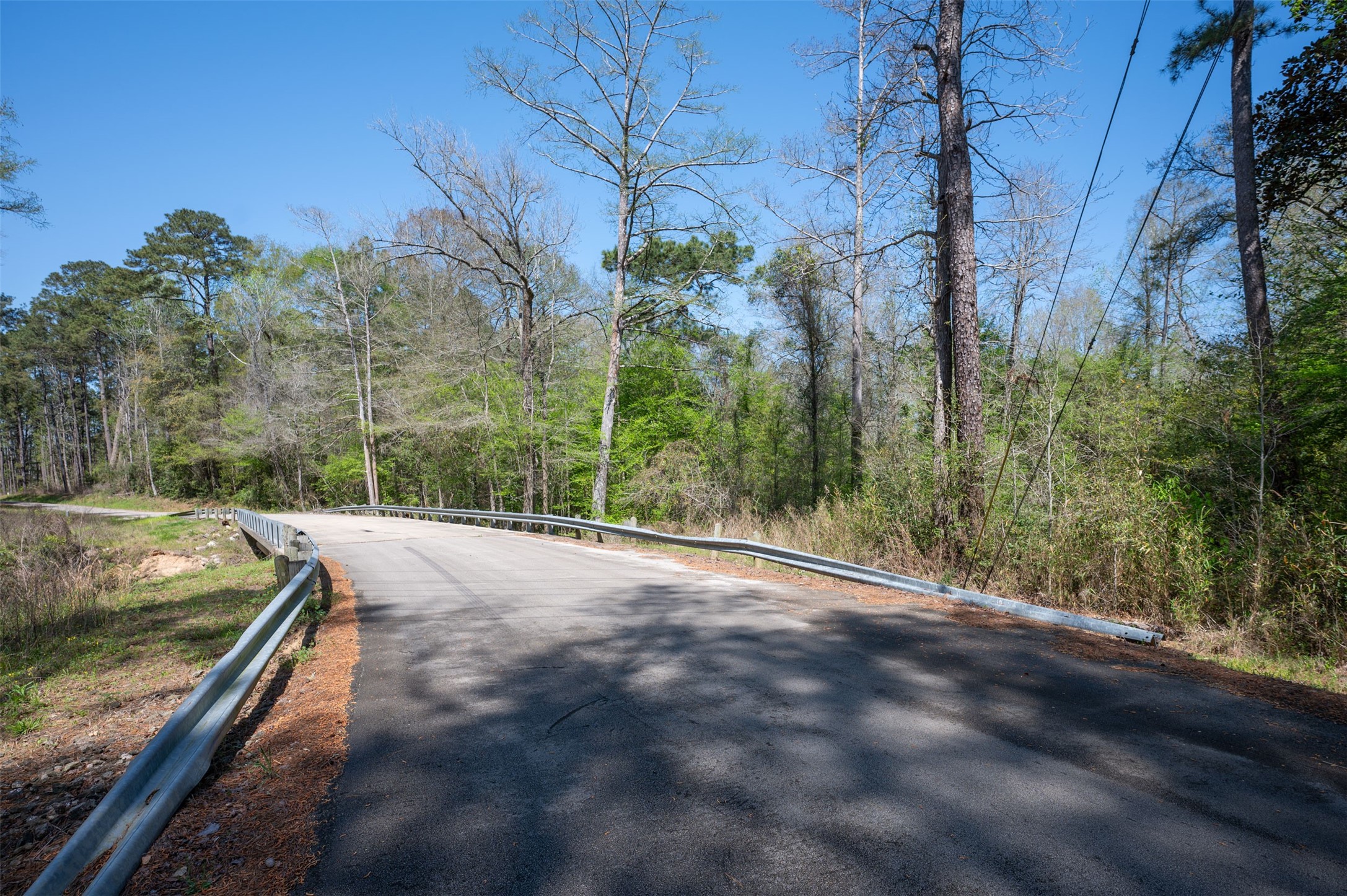 138 County Road 138 Jasper, TX 75951 - Photo 15 of 17 a view of a backyard of a house