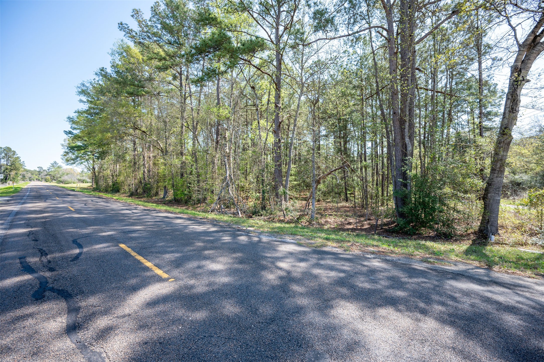 138 County Road 138 Jasper, TX 75951 - Photo 9 of 17 a view of a yard with a tree
