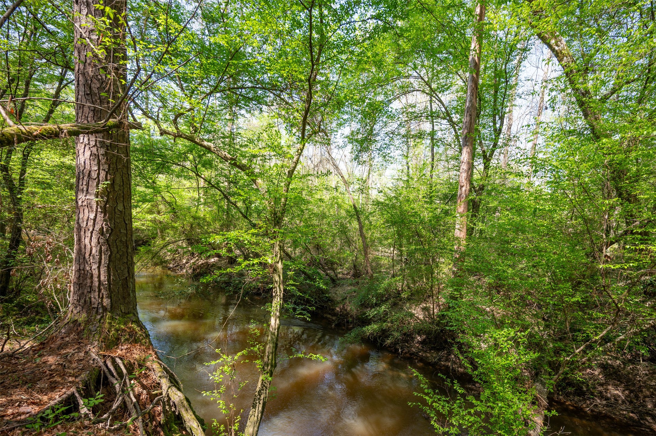 138 County Road 138 Jasper, TX 75951 - Photo 10 of 17 a view of a lake view