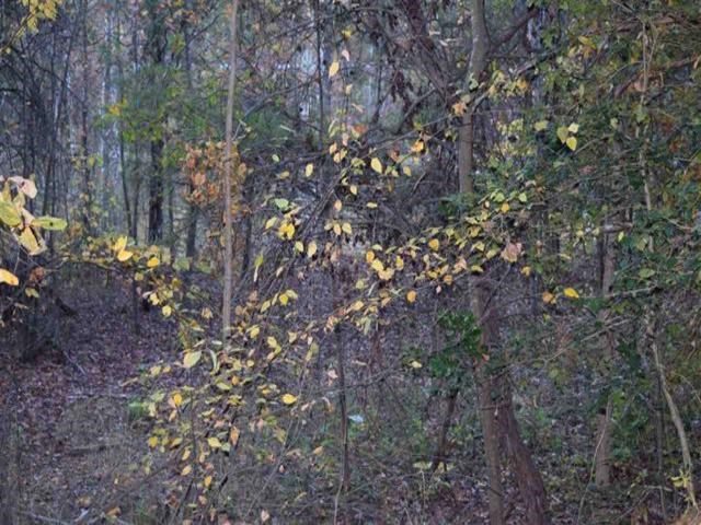 2731 Sandy Ford Road Chesnee, SC 29323 - Photo 5 of 12 Gallery Image 5