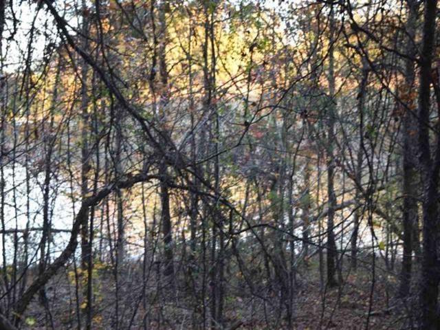 2731 Sandy Ford Road Chesnee, SC 29323 - Photo 6 of 12 Gallery Image 6