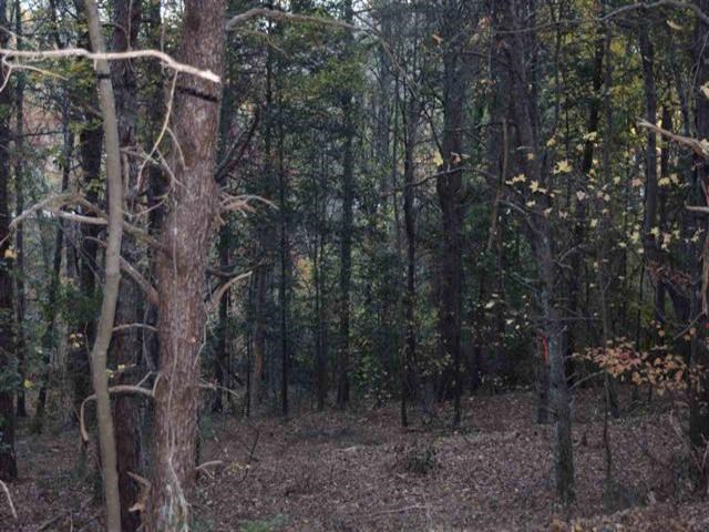 2731 Sandy Ford Road Chesnee, SC 29323 - Photo 9 of 12 Gallery Image 9