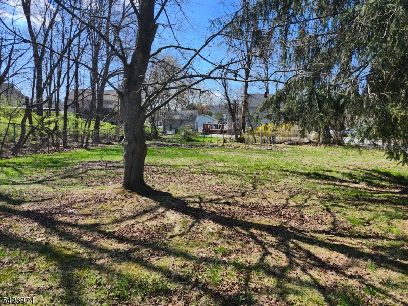 5 Locust Street Wanaque, NJ 07420 - Photo 5 of 23 a view of a yard with a tree