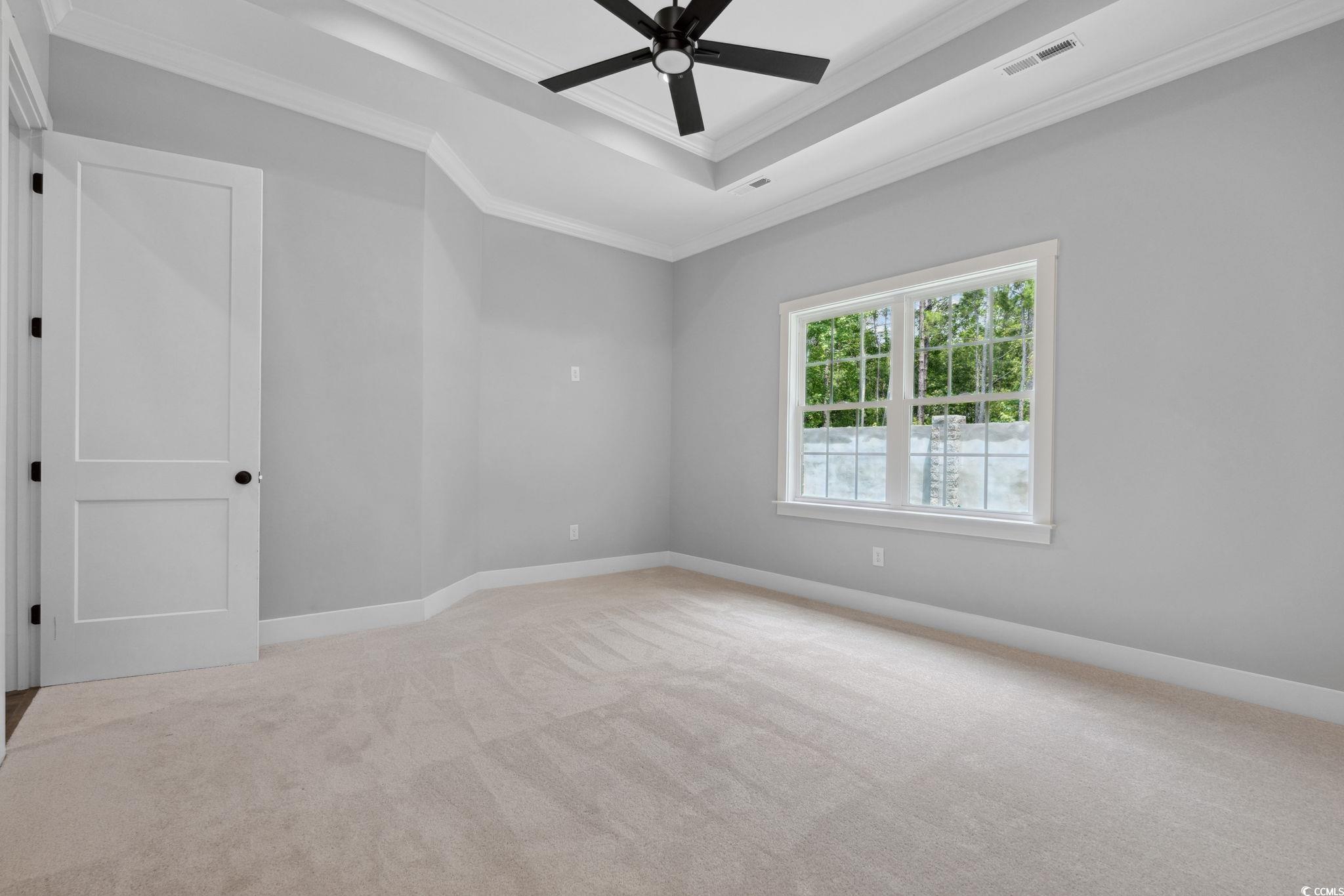 297 Waterfall Circle Little River, SC 29566 - Photo 18 of 40 Carpeted spare room with ornamental molding, a ceiling fan, a raised ceiling, and baseboards