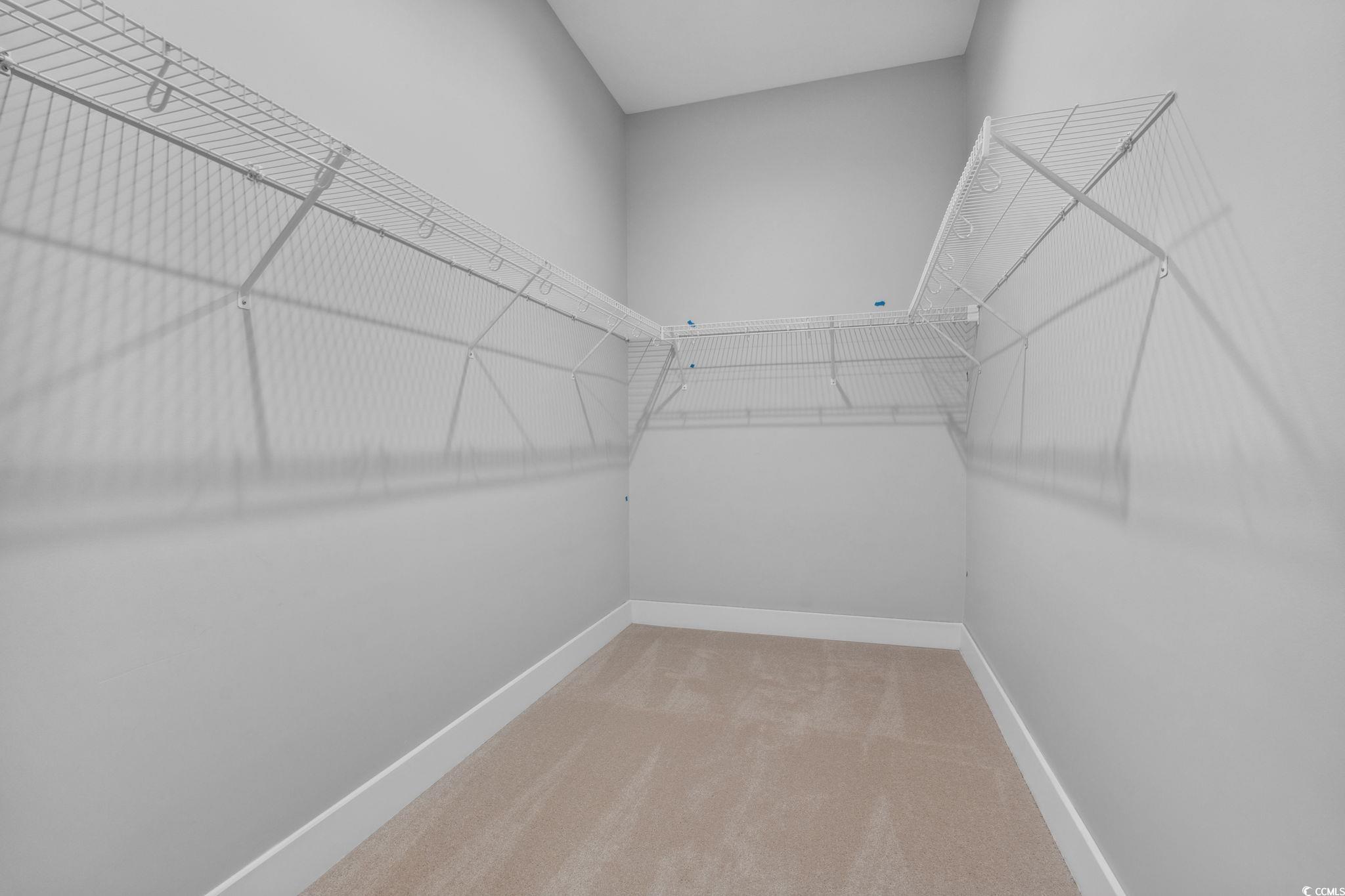 297 Waterfall Circle Little River, SC 29566 - Photo 25 of 40 Spacious closet featuring carpet flooring