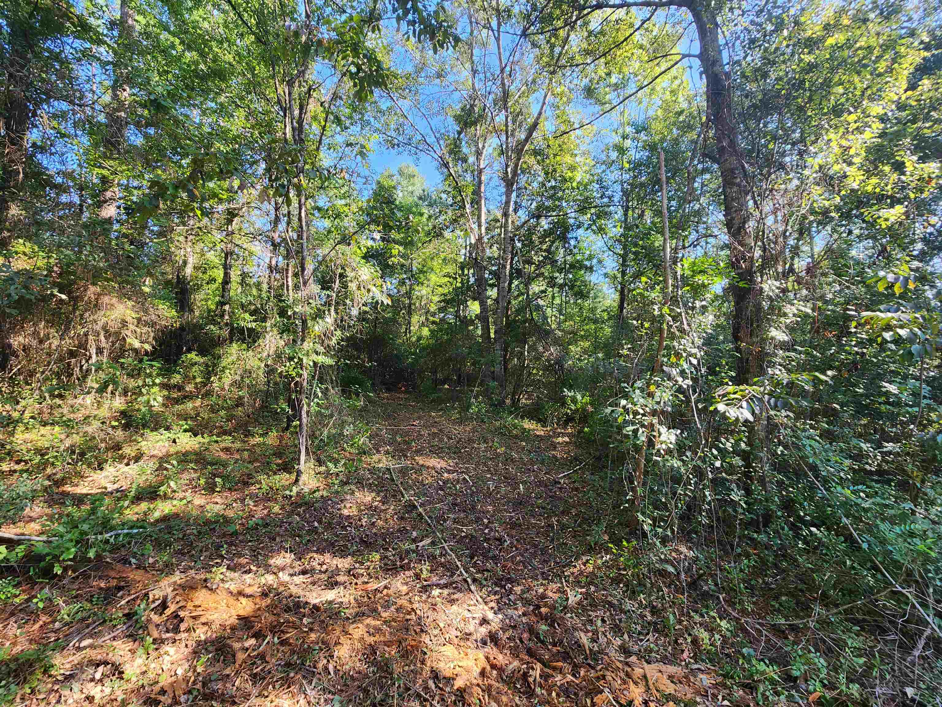 15189 Lake Mystic Church Road Bristol, FL 32321 - Photo 2 of 6