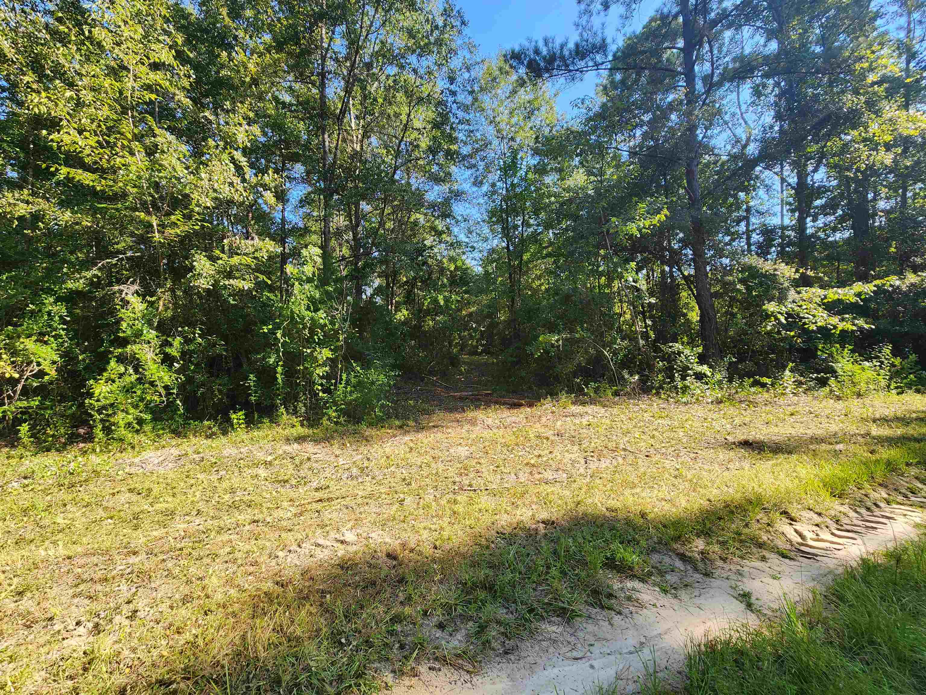 15189 Lake Mystic Church Road Bristol, FL 32321 - Photo 5 of 6